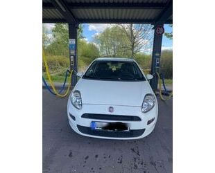 Fiat Punto Gebrauchtwagen