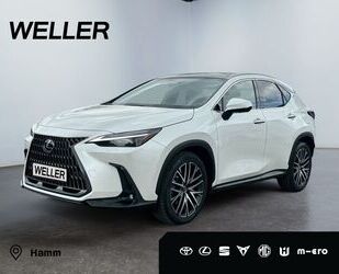 Lexus NX 350h Gebrauchtwagen