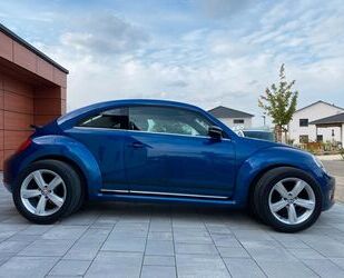 VW Beetle Gebrauchtwagen