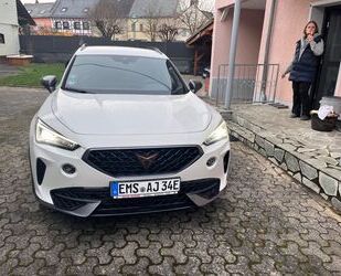 Cupra Formentor Gebrauchtwagen