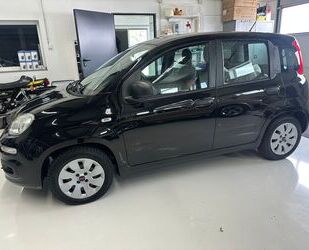 Fiat Panda Gebrauchtwagen