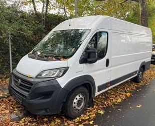 Fiat Ducato Gebrauchtwagen