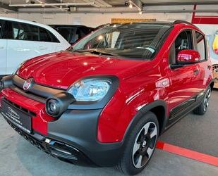 Fiat Panda Gebrauchtwagen