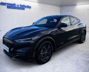 Ford Mustang Mach-E Gebrauchtwagen