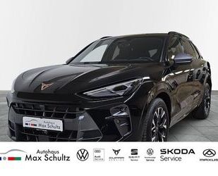 Cupra Terramar Gebrauchtwagen