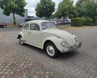 VW Käfer Gebrauchtwagen