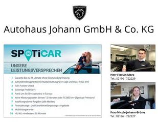 Renault Scenic Gebrauchtwagen