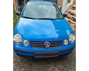 VW Polo Gebrauchtwagen