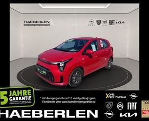 Kia Picanto Gebrauchtwagen