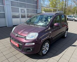 Fiat Panda Gebrauchtwagen