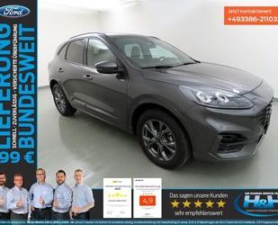 Ford Kuga Gebrauchtwagen
