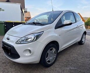 Ford Ka/Ka+ Gebrauchtwagen