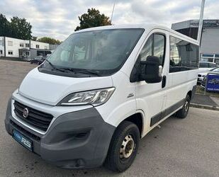 Fiat Ducato Gebrauchtwagen