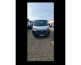 Fiat Ducato Gebrauchtwagen
