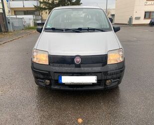 Fiat Panda Gebrauchtwagen