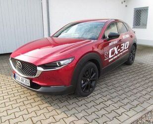 Mazda CX-30 Gebrauchtwagen