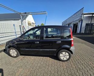 Fiat Panda Gebrauchtwagen