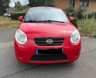Kia Picanto Gebrauchtwagen
