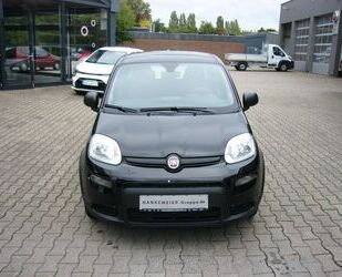 Fiat Panda Gebrauchtwagen