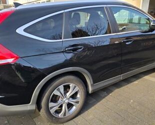 Honda CR-V Gebrauchtwagen