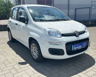 Fiat Panda Gebrauchtwagen