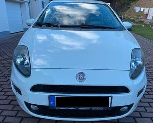 Fiat Punto Gebrauchtwagen
