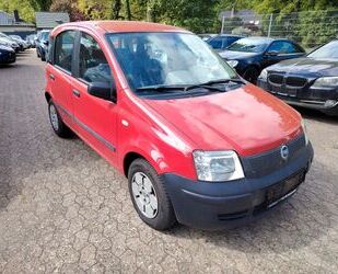 Fiat Panda Gebrauchtwagen