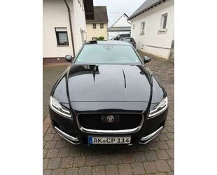 Jaguar XF Gebrauchtwagen