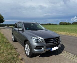 Mercedes-Benz ML 350 Gebrauchtwagen