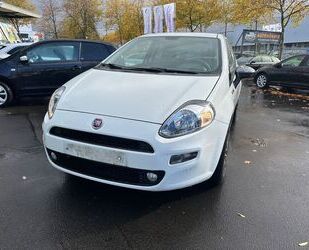 Fiat Punto Gebrauchtwagen