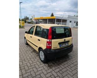 Fiat Panda Gebrauchtwagen