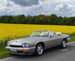 Jaguar XJS Gebrauchtwagen
