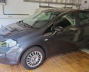 Fiat Punto Gebrauchtwagen