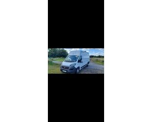 Fiat Ducato Gebrauchtwagen