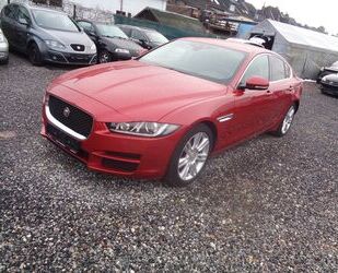 Jaguar XE Gebrauchtwagen