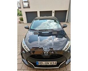 Mazda 2 Gebrauchtwagen