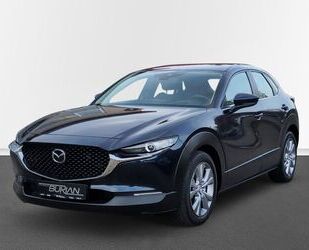 Mazda CX-30 Gebrauchtwagen