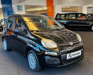 Fiat Panda Gebrauchtwagen