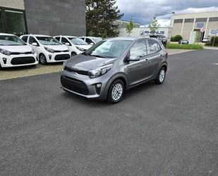 Kia Picanto Gebrauchtwagen