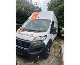 Fiat Ducato Gebrauchtwagen