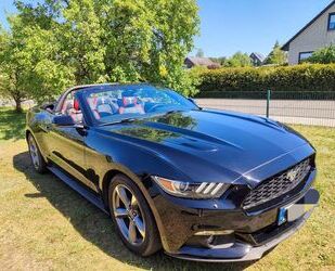 Ford Mustang Gebrauchtwagen