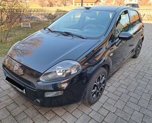 Fiat Punto Gebrauchtwagen