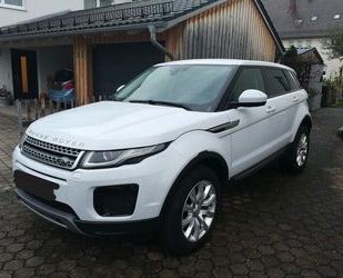 Land Rover Range Rover Evoque Gebrauchtwagen