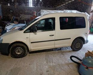 VW Caddy Gebrauchtwagen