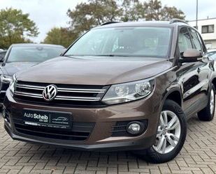 VW Tiguan Gebrauchtwagen