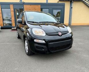 Fiat Panda Gebrauchtwagen