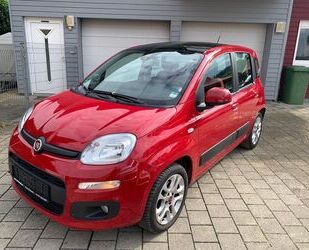 Fiat Panda Gebrauchtwagen