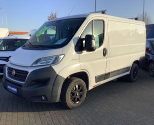 Fiat Ducato Gebrauchtwagen