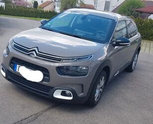 Citroen C4 Cactus Gebrauchtwagen