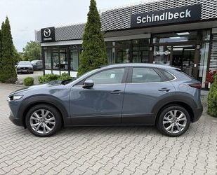 Mazda CX-30 Gebrauchtwagen
